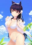  alexiel_(pixiv6211566) animal_ears atago_(azur_lane) azur_lane bangs bare_shoulders bikini black_hair blue_sky blush breasts choker cleavage closed_mouth cloud cloudy_sky collarbone contrapposto cowboy_shot day extra_ears flower groin hair_flower hair_ornament hair_ribbon hands_up highres jacket large_breasts leaf legs_together long_hair looking_at_viewer mole mole_under_eye navel open_clothes open_jacket outdoors plant ribbon shiny shiny_hair shiny_skin sky smile solo standing stomach strap_gap swimsuit very_long_hair white_bikini white_choker white_flower white_jacket white_ribbon yellow_eyes 