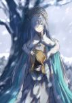  absurdres anastasia_(fate/grand_order) bangs blue_cloak blue_eyes blurry blurry_background blush brown_hair brown_hairband brown_ribbon cloak closed_mouth commentary_request crown day depth_of_field dress eyebrows_visible_through_hair fate/grand_order fate_(series) hair_over_one_eye hair_ribbon hairband highres light_smile long_hair long_sleeves mini_crown misaka76 outdoors ribbon royal_robe silver_hair snowing solo tree very_long_hair white_dress wide_sleeves 