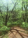  blue_sky commentary_request day dirt dirt_road forest katorein landscape nature no_humans original scenery shadow sky spring_(season) tree 