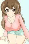  alternate_hair_length alternate_hairstyle arm_support bangs blue_shorts breasts brown_eyes brown_hair casual cleavage closed_mouth commentary cowboy_shot eyebrows_visible_through_hair from_above girls_und_panzer hair_down hair_ribbon highres hoshikawa_(hoshikawa_gusuku) koyama_yuzu large_breasts leaning_forward long_hair long_sleeves looking_at_viewer low-tied_long_hair pink_shirt ribbon seiza shirt short_shorts shorts sitting smile solo white_ribbon 