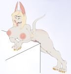  anthro big_breasts blonde_hair breasts canine female hair huge_breasts looking_at_viewer mammal nipples nude solo spazzyhusky standing thick_thighs tongue tongue_out voluptuous 