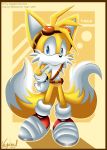  absurd_res anthro canine clothing eyewear fox gloves goggles hi_res male mammal miles_prower signature solo sonic_(series) sonic_boom vagabondwolves video_games 