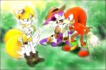  anthro canine clothing crossgender echidna female fox gloves hi_res knuckles_the_echidna male mammal miles_prower monotreme mustelid nack_the_weasel sonic_(series) twistedterra video_games weasel 
