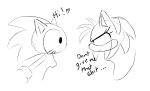  2016 amy_rose anthro cat crossover duo english_text feline female hedgehog hello_kitty hello_kitty_(character) jaynatorburudragon mammal sanrio sonic_(series) text 