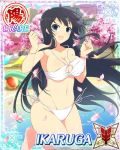  1girl ikaruga_(senran_kagura) senran_kagura senran_kagura_(series) solo 