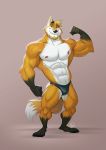  2018 5_fingers abs anthro biceps canine claws clothing digital_drawing_(artwork) digital_media_(artwork) facial_hair fox fur furrybob goatee hair hi_res male mammal muscular muscular_male nipples pecs simple_background smile solo standing toe_claws toes underwear 