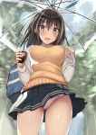  1girl bag bangs black_skirt blue_sky blurry blurry_background blush breasts brown_hair cloud cloudy_sky collared_shirt cup day depth_of_field disposable_cup eyebrows_visible_through_hair from_below hair_between_eyes hair_ornament holding holding_cup holding_umbrella kureha_(ironika) large_breasts long_hair long_sleeves looking_at_viewer looking_down original outdoors panties pink_panties pleated_skirt rain school_bag school_uniform shirt skirt skirt_lift sky solo sweater_vest transparent transparent_umbrella tree umbrella underwear white_shirt wind wind_lift x_hair_ornament 