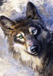  2018 ambiguous_gender black_nose blue_eyes canine detailed_background digital_media_(artwork) dog feral fleetingember fur grey_fur mammal solo 