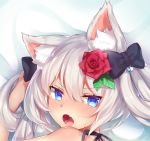  :o animal_ears azur_lane bangs bare_shoulders black_bow black_ribbon blue_eyes blush bow cat_ears dakimakura eyebrows_visible_through_hair fang flower hair_between_eyes hair_bow hair_flower hair_ornament hammann_(azur_lane) ishikawa_kuma_yarou looking_at_viewer looking_back lying nose_blush on_stomach open_mouth red_flower red_rose ribbon rose silver_hair solo twintails 