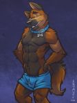  2018 abs anthro biped black_nose blue_background blue_bottomwear blue_clothing blue_eyes blue_underwear boxers_(clothing) brown_fur brown_tail canine clothed clothing collar digital_media_(artwork) dog duncan_(k-9) front_view fur half-closed_eyes hands_on_hips hi_res k-9 looking_at_viewer male mammal muscular muscular_male pecs portrait signature simple_background smile smirk snout solo standing teeth three-quarter_portrait topless underwear 