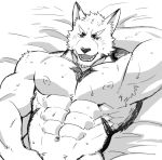  2018 anthro big_pecs canine fur hi_res kemono male mammal muscular muscular_male nipples pecs simple_background xxomgx 