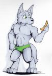  anthro banana canine clothed clothing food fruit hokshi male mammal muscular muscular_male solo topless underwear wolf 