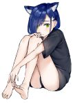  absurdres abuwei_shenshijun animal_ears bare_legs black_panties black_shirt blue_hair cat_ears commentary darling_in_the_franxx green_eyes hair_ornament hairclip head_on_knees highres ichigo_(darling_in_the_franxx) kemonomimi_mode panties shirt short_hair simple_background sitting underwear 