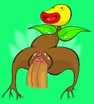  bellsprout disembodied_penis duo female flora_fauna joe123123123 male male/female male_penetrating nintendo not_furry penetration penis plant pok&eacute;mon pok&eacute;mon_(species) pussy sex solo_focus spread_legs spreading vaginal vaginal_penetration video_games 