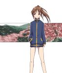  1girl bare_legs bottomless long_sleeves no_pants saki takakamo_shizuno 