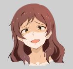  :d bad_id bad_pixiv_id brown_eyes brown_hair collarbone grey_background highres idolmaster idolmaster_million_live! j.roswel kitazawa_shiho long_hair looking_at_viewer open_mouth portrait shaded_face simple_background smile smirk solo troll_face 