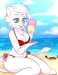  2018 anthro beach big_breasts big_butt bikini blue_eyes breasts butt chest_tuft clothed clothing cloud dessert digital_media_(artwork) fangs feline female firestorm3 food fur green_eyes hair heterochromia ice_cream lawychan lion mammal navel outside saber_(firestorm3) sea seaside sitting sky smile solo swimsuit thick_thighs tongue tongue_out tuft voluptuous water wide_hips young 