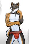  animosus black_fur black_nose brown_fur bulge canine claws clothing collar dog fur green_eyes grin jockstrap long_tail male mammal muscular shiba_inu smile spandex speedo spolo swimsuit tattoo tight_clothing tsaiwolf underwear white_fur 