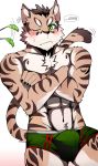  2018 anthro blush bulge cat feline green_eyes male mammal nekojishi shu-chi simple_background solo white_background 