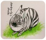  2015 equine fusion grass japanese_text lagomorph mammal rabbit simple_background solo text translation_request zebra 井口病院 