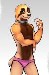  anthro black_nose blue_eyes brown_fur bulge claws clothed clothing collar fur hi_res infeision looking_at_viewer male mammal nipples panties short_tail skimpy sloth smile solo spandex speedo swimsuit tight_clothing topless tsaiwolf underwear 