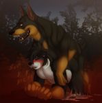 2018 all_fours anal anal_penetration anthro anthro_on_feral bernese_mountain_dog bestiality blush canine cum digitigrade doberman dog doggystyle duo excessive_cum feral feral_penetrating_anthro from_behind_position fur kamelotnoah male male/male male_on_feral male_penetrating mammal messy mounting nude penetration ruska sex teeth text tongue 