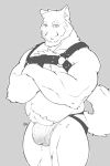  anthro beard bondage_gear bulge canine clothing crossed_arms essentialryu facial_hair jockstrap looking_at_viewer male mammal musclegut muscular muscular_male precum solo standing underwear 