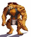  2018 4_toes 5_fingers abs anthro barefoot biceps big_muscles biped black_claws body_hair brown_fur brown_hair brown_nose brown_stripes brown_tail bulge canine chest_hair claws clothed clothing digital_media_(artwork) digitigrade fangs feline front_view full-length_portrait fur grey_fur hair hairy happy_trail hi_res hybrid jockstrap kougatalbain male mammal multicolored_fur multicolored_tail muscular muscular_male oliver_kresnik orange_fur orange_tail pecs portrait red_eyes saber-toothed_cat sabertooth_(feature) shadow simple_background snout solo standing striped_fur striped_tail stripes taoren teeth tiger toe_claws toes topless two_tone_tail underwear white_background white_bottomwear white_clothing white_underwear wolf 