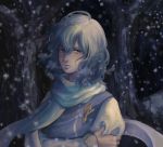  ahoge blue_eyes blue_hair breath crossed_arms expressionless forest hair_between_eyes hand_on_own_arm holding_arm letty_whiterock long_sleeves looking_at_viewer medium_hair nature no_headwear outdoors pin samuhiro_(affairshero85) scarf snowing solo touhou upper_body wind 