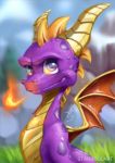  close-up detailed dragon feral fire grass horn looking_at_viewer male nude outside portrait purple_eyes purple_skin scales scalie sitting smile solo spyro spyro_the_dragon starsoulart video_games western_dragon wings 