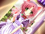  :t animal_ears bell blush cat_ears cat_paws cat_tail game_cg gloves green_eyes horii_kumi jingle_bell kawamura_yuu kemonomimi_mode maid paw_gloves paws pink_hair se.kirara solo tail 