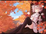  animal_ears bad_id bad_pixiv_id chonbo_(artist) detached_sleeves hat in_tree inubashiri_momiji panties short_hair silver_hair sleeping solo tail thighhighs tokin_hat touhou tree underwear wolf_ears wolf_tail 