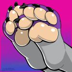  2018 avantle claws digital_media_(artwork) feet feline foot_focus junga leopard mammal paws pink_paws simple_background toe_claws toes 