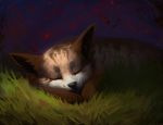  canine cute eyes_closed feral fox fur grass keumano lying male mammal on_front outside sleeping solo whiskers 