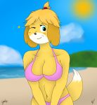  animal_crossing anthro big_breasts bikini breasts canine cleavage clothed clothing cybersniper digital_media_(artwork) dipstick_tail dog eyebrows female fur green_eyes hair isabelle_(animal_crossing) looking_at_viewer mammal midriff multicolored_tail navel nintendo one_eye_closed outside seaside signature skimpy smile solo swimsuit video_games 