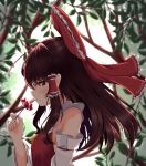  bow brown_hair commentary day detached_sleeves floating_hair flower from_side hair_bow hair_tubes hakurei_reimu hand_up highres holding holding_flower long_hair looking_at_viewer namesake object_namesake outdoors profile rankasei red_bow red_eyes red_flower reimu_(flower) ribbon-trimmed_sleeves ribbon_trim sarashi sidelocks sideways_glance solo touhou upper_body vest 