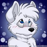  artie blue_background blue_eyes blush canine fox fur mammal simple_background solo white_fur wolfblade 