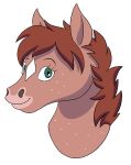  bojack_horseman chippidraws chocolatechippi equine female freckles hollyhock_manheim-mannheim-guerrero-robinson-zilberschlag-hsung-fonzerelli-mcquack horse mammal solo 