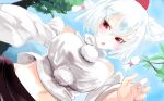  animal_ears blue_sky breasts commentary_request detached_sleeves hat inubashiri_momiji large_breasts looking_at_viewer midriff navel red_eyes sinzan sky tokin_hat touhou white_hair wolf_ears 