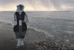  2018 akitamonster anthro beach day detailed_background digital_media_(artwork) digitigrade feline female fur grey_fur mammal outside seaside shoreline smile solo water 