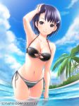  adjusting_hair armpits bikini black_bikini blue_sky breasts building cloud day dolphin_hair_ornament hair_ornament hairclip hand_up highres ilog looking_at_viewer medium_breasts navel official_art outdoors palm_tree purple_eyes purple_hair sky smile solo standing striped striped_bikini swimsuit tree uchida_masahiro wading wet 