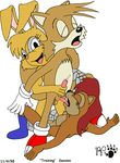  animated archie_comics bunnie_rabbot kthanid sally_acorn sonic_team tails 