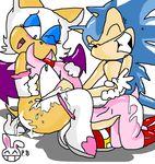  amy_rose perverted_bunny rouge_the_bat sonic_team sonic_the_hedgehog 