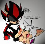  rouge_the_bat shadow_the_hedgehog sonic_team tagme 