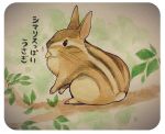  2015 fusion hybrid japanese_text lagomorph leaf mammal rabbit rodent squirrel text translation_request tree 井口病院 