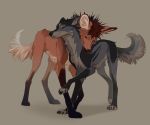  2018 ambiguous_gender black_nose brown_fur canine coyote digital_media_(artwork) duo feral fur mammal orphen-sirius paws simple_background smile 