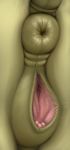  2018 anatomically_correct anatomically_correct_pussy animal_genitalia animal_pussy anus clitoris collaboration digital_media_(artwork) equine equine_pussy female feral fluttershy_(mlp) friendship_is_magic genital_focus horse mammal my_little_pony puffy_anus pussy solo yoditax zippysqrl 