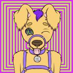  2018 anthro bdsm bondage bound canine cuntboy digital_drawing_(artwork) digital_media_(artwork) eros_pupp_(character) fur hair hi_res hypnosis intersex lewd_pupp_(artist) male mammal mind_control simple_background smile solo spiral_eyes tongue tongue_out 