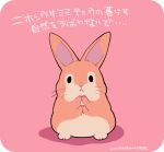  ... 2015 arthropod insect japanese_text lagomorph mammal multi_leg multi_limb rabbit simple_background solo standing text translation_request 井口病院 