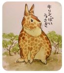  2015 fusion giraffe japanese_text lagomorph mammal outside rabbit text translation_request tree 井口病院 